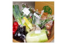 有機野菜セット　季節の採れたて有機野菜（およそ10点）を農家から直送 ◇ ※2025年7月上旬～12月中旬頃に順次配送予定