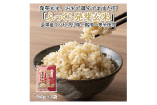 ふっくら発芽玄米　会津産コシヒカリ　750g ×3袋　発芽玄米　ギャバ　GABA　コシヒカリ◇
※着日指定不可