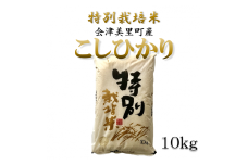 特別栽培米　会津美里町産コシヒカリ　10kg　※2024年12月上旬頃から順次発送予定