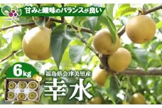 【先行受付】会津の美味しい梨 幸水 約6kg（10玉～12玉）◇｜ 期間限定 梨 なし ナシ 果物 フルーツ 甘い ジューシー 果実 くだもの 国産 果実 会津美里町産 ※2025年8月下旬～9月上旬頃に順次発送予定
