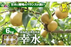 【先行受付】《訳あり》会津の美味しい梨 幸水 約6kg（10玉～12玉）◇｜ 期間限定 家庭用 梨 なし ナシ 果物 フルーツ 甘い ジューシー 果実 くだもの 国産 果実 会津美里町産 ※2025年8月下旬～9月上旬頃に順次発送予定