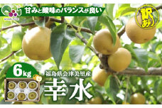 【先行受付】《訳あり》会津の美味しい梨 幸水 約6kg（10玉～12玉）◇｜ 期間限定 家庭用 梨 なし ナシ 果物 フルーツ 甘い ジューシー 果実 くだもの 国産 果実 会津美里町産 ※2025年8月下旬～9月上旬頃に順次発送予定