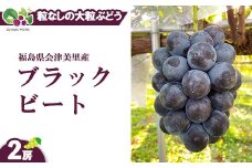 【先行受付】会津の美味しいぶどう 種なし ブラックビート 1.1kg以上 2房 ◇｜ 期間限定 大粒 果物 フルーツ ぶどう ブドウ 葡萄 くだもの 国産 果実 会津美里町産 ※2025年9月上旬～9月下旬頃に順次発送予定