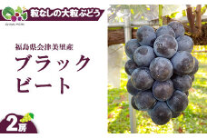【先行受付】会津の美味しいぶどう 種なし ブラックビート 1.1kg以上 2房 ◇｜ 期間限定 大粒 果物 フルーツ ぶどう ブドウ 葡萄 くだもの 国産 果実 会津美里町産 ※2025年9月上旬～9月下旬頃に順次発送予定