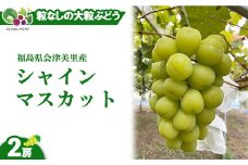 【先行受付】会津の美味しいぶどう シャインマスカット 1.2kg以上 2房 ◇｜ 期間限定 大粒 種なし 果物 フルーツ ぶどう ブドウ 葡萄 くだもの 国産 果実 会津美里町産 ※2025年10月上旬～10月下旬頃に順次発送予定