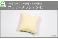 羽毛たっぷりで快適おうち時間！フェザークッション45（45cm角）　【07461-0086】