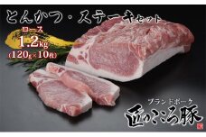 ブランドポーク「匠のこころ豚」ロース　とんかつ・ステーキセット　1200g（120g×10枚）【◎安全・安心　JGAP・農場HACCP認証取得】 [№5734-0092]