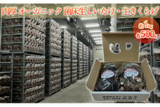オーガニック 菌床生しいたけ・生きくらげ 約1kg（各500g） [№5734-0099]