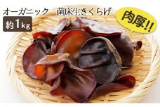 オーガニック 菌床生きくらげ 約1kg [№5734-0100]