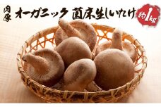 オーガニック 菌床生しいたけ 約1kg [№5734-0101]