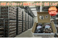 オーガニック 菌床生しいたけ・生きくらげ 約500g（各250g） [№5734-0106]