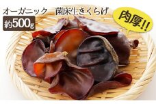 オーガニック 菌床生きくらげ 約500g [№5734-0107]