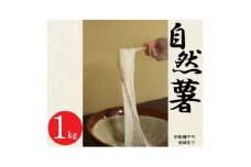 ＜先行予約＞中島村産自然薯(1kg以上)【1490529】