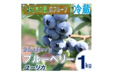 ＜先行予約/冷蔵＞ブルーベリー1kg(ユーリカ)【1494373】
