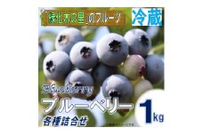 ＜先行予約/冷蔵＞ブルーベリー1kg(各種詰合せ)【1608646】