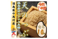 ＜数量限定/令和7年産＞中島村産『天のつぶ』(玄米)10kg【1633144】