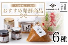 人気の味噌こうじ店のおすすめ発酵商品6種セット F6U-020