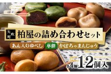 【柏屋の詰め合わせセット】あん入りゆべし・草餅・かぼちゃまんじゅう　各4個の12個入り! もち 和菓子 スイーツ 饅頭 福島県 矢吹町 F6U-036