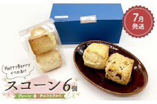 【2025年7月発送】人気店 HappyBerryのスコーン 6個（プレーン4個、チョコとクルミ2個） 焼菓子 スイーツ F6U-147