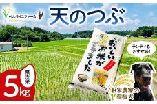 〈先行予約〉令和7年産 農家直送 ベルライスファームの天のつぶ 無洗米5kg F6U-128