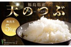 〈先行予約〉令和7年産 農家直送 ベルライスファームの天のつぶ 無洗米5kg F6U-128