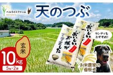 〈先行予約〉令和7年産 農家直送 ベルライスファームの天のつぶ 玄米10kg F6U-179