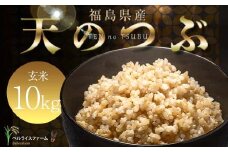 〈先行予約〉令和7年産 農家直送 ベルライスファームの天のつぶ 玄米10kg F6U-179