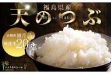 【お米の定期便 2025年11月より隔月3回配送】農家直送 天のつぶ 無洗米 20kg 全3回 F6U-183