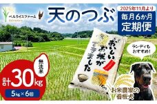 【お米の定期便 2025年11月より毎月6か月配送】農家直送 天のつぶ 無洗米 5kg 全6回 F6U-184