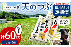 【お米の定期便 2025年11月より毎月6か月配送】農家直送 天のつぶ 無洗米10kg 全6回 F6U-185