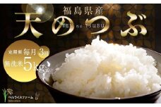 【お米の定期便 2026年2月より毎月3か月配送】農家直送 天のつぶ 無洗米 5kg 全3回 F6U-188