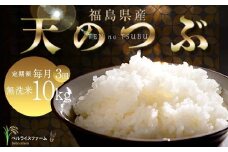 【お米の定期便 2026年2月より毎月3か月配送】農家直送 天のつぶ 無洗米 10kg 全3回 F6U-189