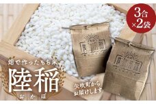 畑で作ったもち米「陸稲(おかぼ)」3合(450g)×2袋 F6U-254