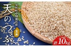 【令和7年産】矢吹町中畑地区産天のつぶ 玄米10kg（5kg×2袋） F6U-266