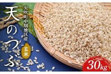 【令和7年産】矢吹町中畑地区産天のつぶ 玄米30kg F6U-267