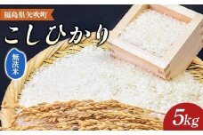 【先行予約】 令和7年産〈無洗米〉 福島県矢吹町の美味しいこしひかり 5kg コシヒカリ コメ 米 F6U-284