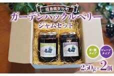 アントシアニンが豊富！ ガーデンハックルベリージャム セット 250g×2種 （ピューレタイプ、皮・種タイプ） F6U-288