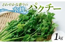 さわやかな香りの水耕パクチー 1kg F6U-277