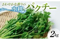さわやかな香りの水耕パクチー 2kg F6U-278