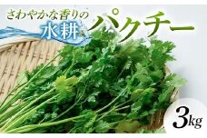 さわやかな香りの水耕パクチー 3kg F6U-279