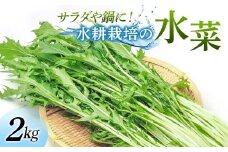 サラダや鍋に！水耕栽培の水菜 2kg F6U-282