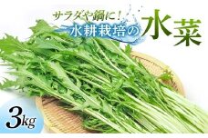 サラダや鍋に！水耕栽培の水菜 3kg F6U-283