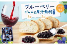 ブルーベリー100%「ジャム」「果汁飲料」セット＜棚倉町産＞【1069920】