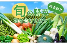 旬の野菜詰め合わせセット(石安米肥店)_ おまかせ 詰め合わせ 旬 旬野菜 季節の野菜 新鮮 産地直送 産直野菜 人気 美味しい 送料無料 【1017731】