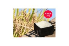 矢祭町産コシヒカリ(白米)5kg+特産品セットC【1648175】