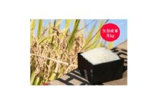 矢祭町産コシヒカリ(白米)5kg+特産品セットD【1648176】