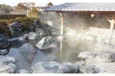 湯遊ランドはなわ　ペア宿泊券