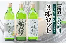 銘酒　奥の鮫川 「3本セット」【1210543】