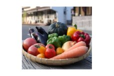 季節の野菜セット(5～10種)【1210553】