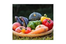 季節の野菜セット(10～15種)【1210559】